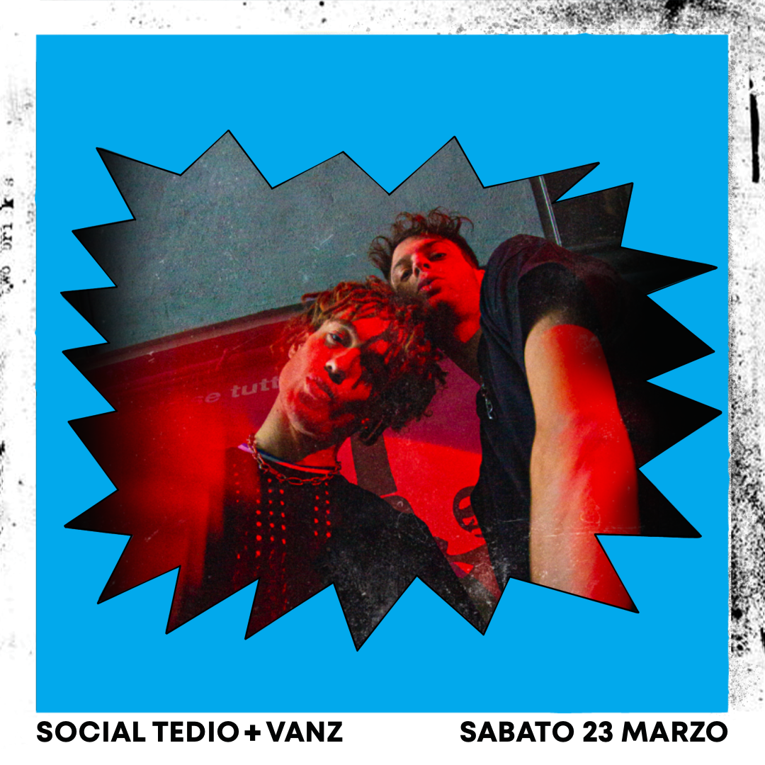 SOCIAL TEDIO + VANZ