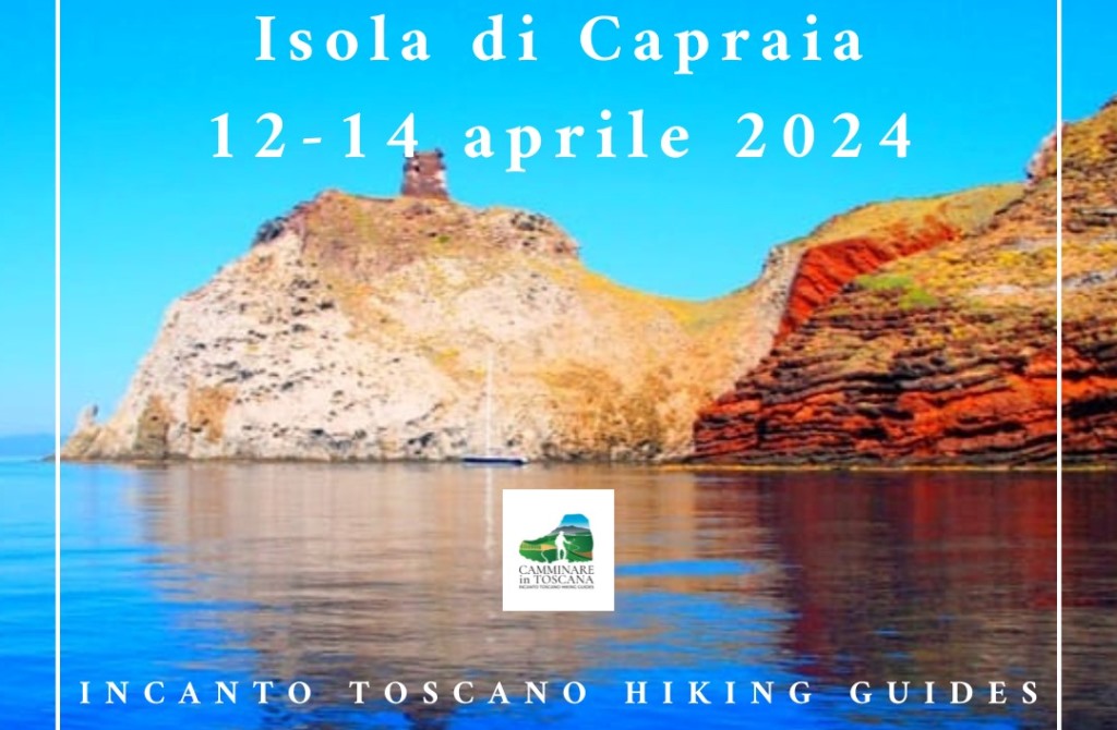 Hiking. Three days in nature on the Island of Capraia