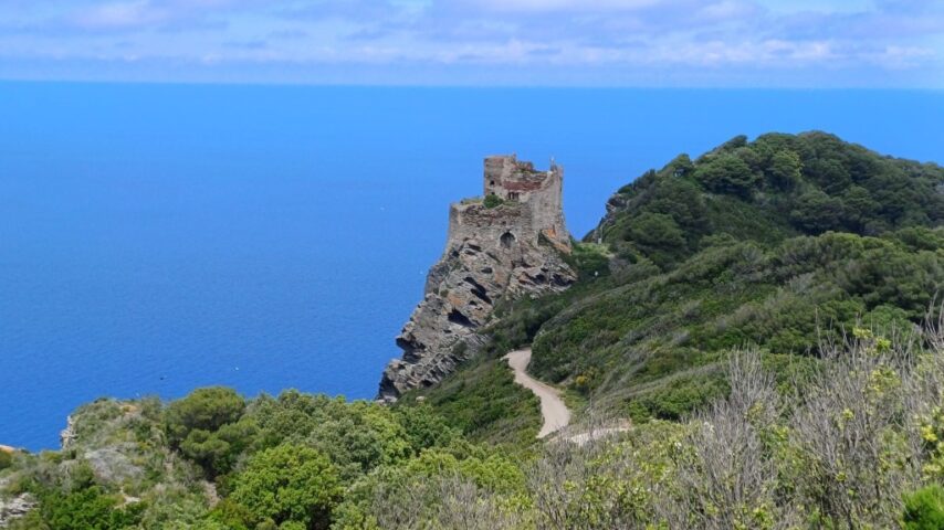 Escursioni sull’isola di Gorgona