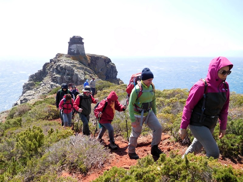 Trekking sull’Isola di Capraia