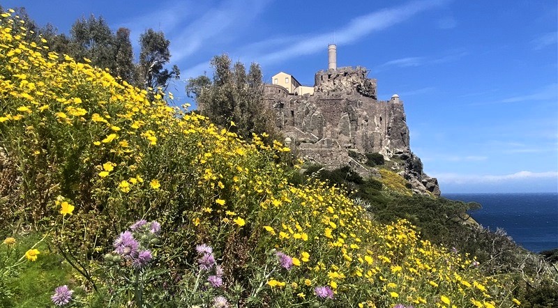 Trekking sull’Isola di Capraia