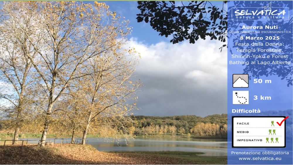 Festa della Donna: Terapia Forestale, Shinrin-Yoku e Forest Bathing al Lago Alberto