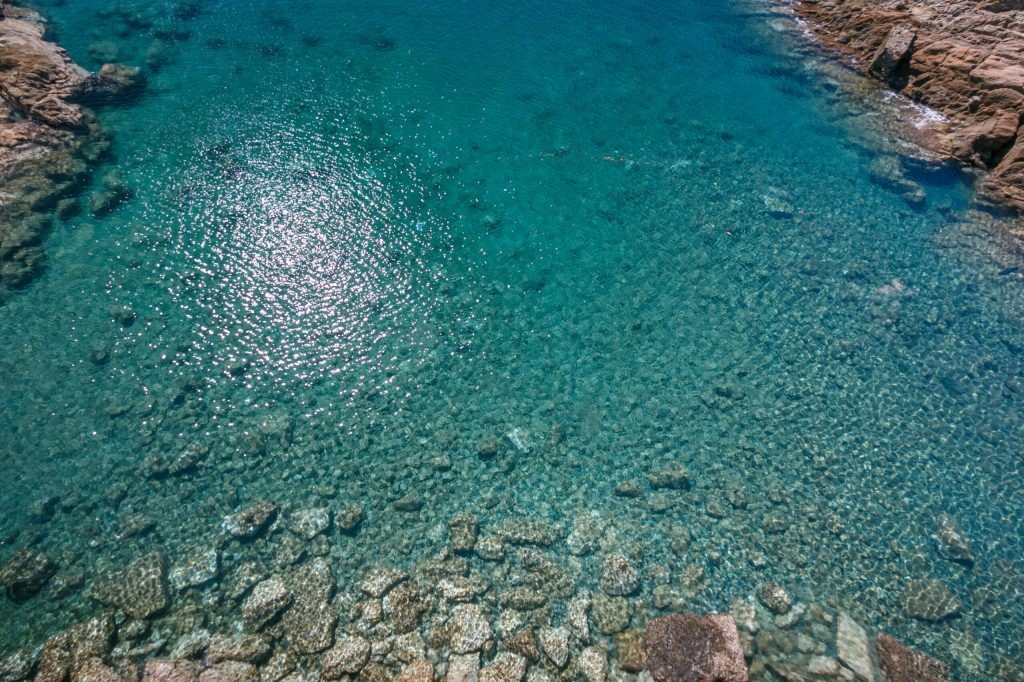 Blu Livorno, la Biennale del Mare e dell’Acqua
