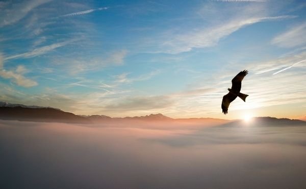 QUEL GIORNO CAPÌ CHE DOVEVA VOLARE