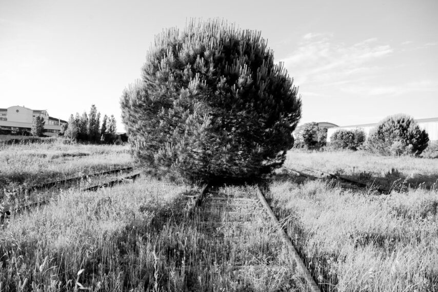 Mostra fotografica “Periferie al Centro”