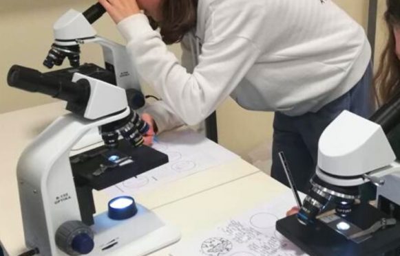 PER UNA STORIA DELL’EDUCAZIONE SCIENTIFICA IN ITALIA