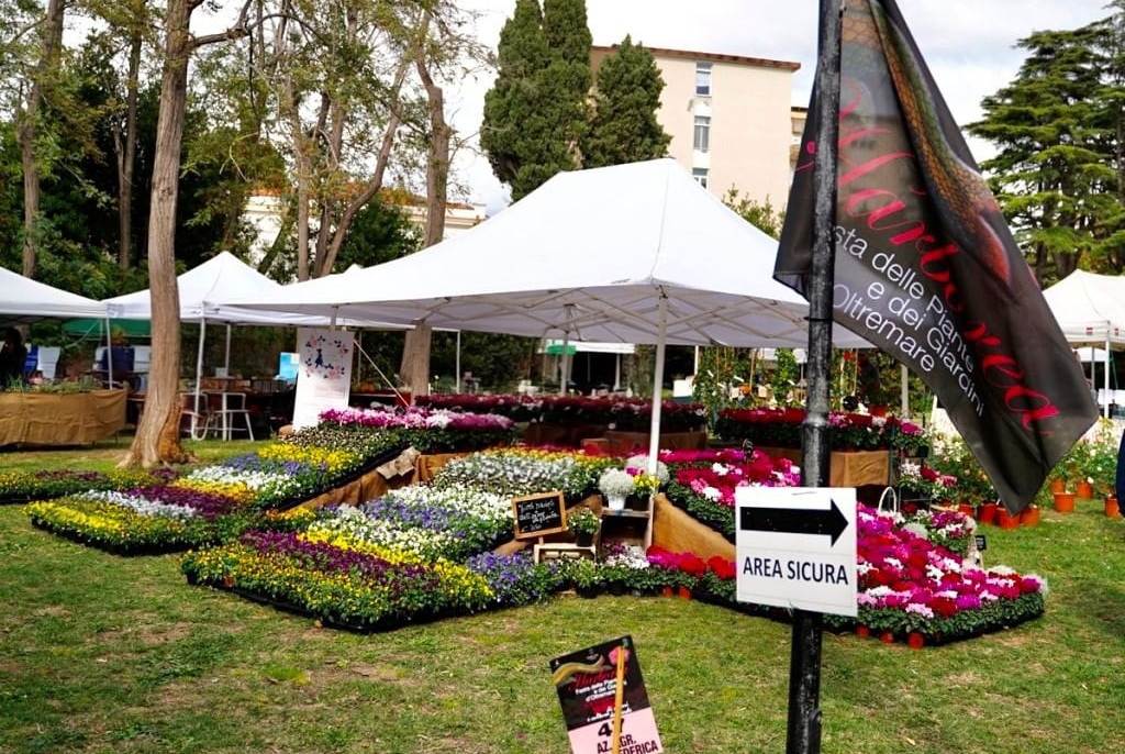 Habrorea. “Fioriture Urbane”: Fondazione LEM lancia il contest fotografico per la prima edizione primaverile