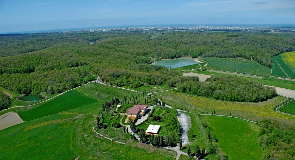 Agreenarte alla Tenuta Bellavista Insuese: seminari tra agricoltura, arte e sostenibilità
