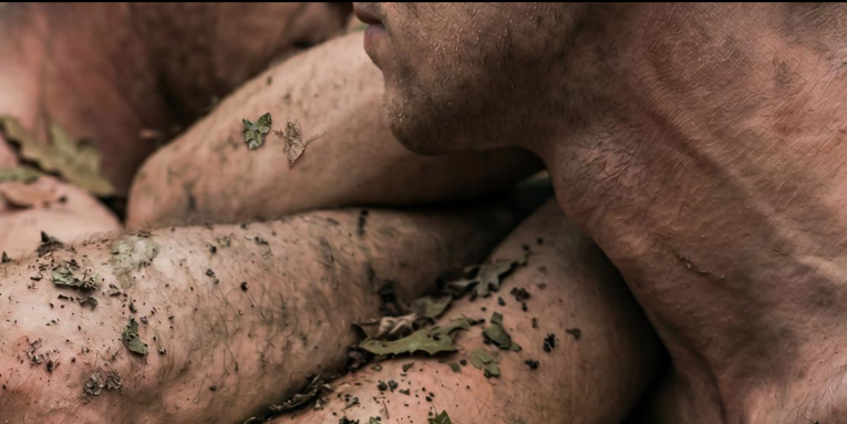 Forza della Natura