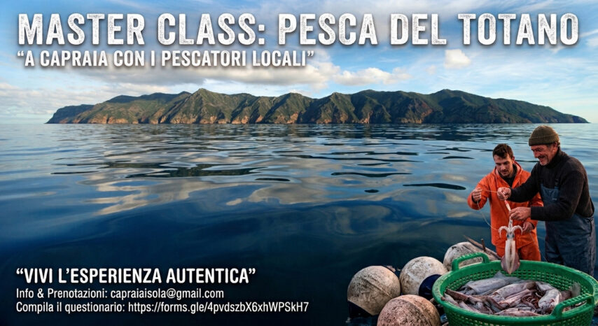 Sagra del Totano 2026